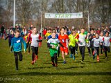 2019-02-17 Cross DJA